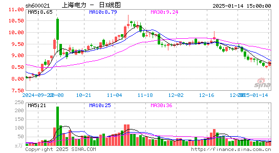 上海电力