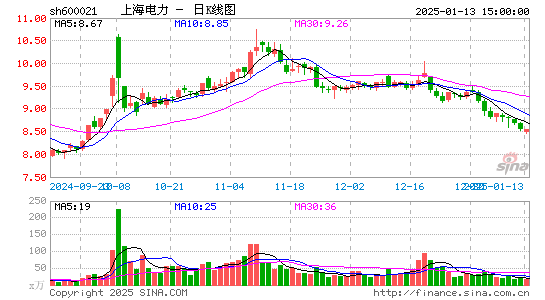 上海电力