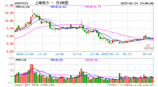 上海电力