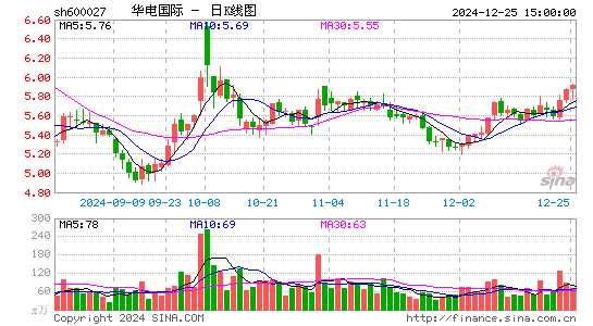 华电国际