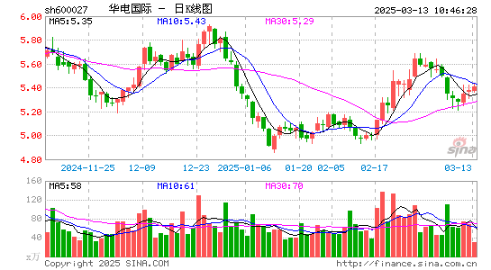 华电国际