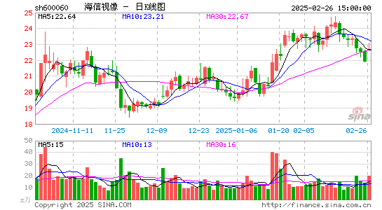 海信视像