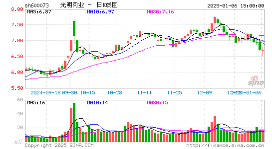 上海梅林