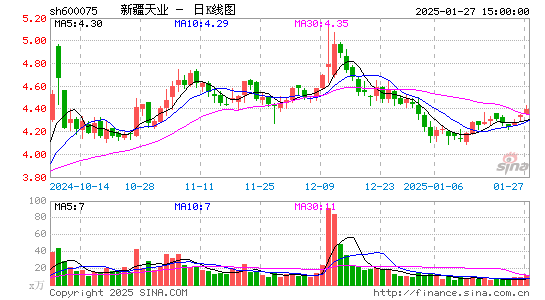 新疆天业