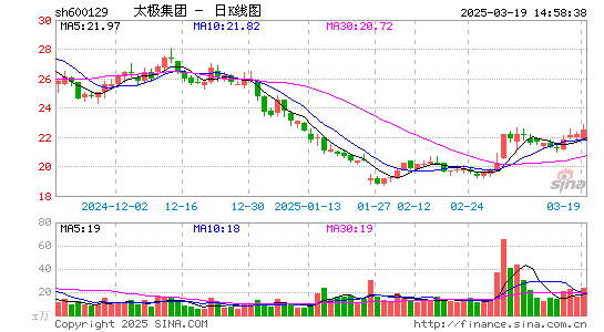 太极集团