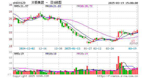 太极集团