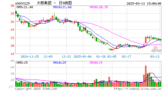 太极集团