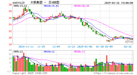 太极集团