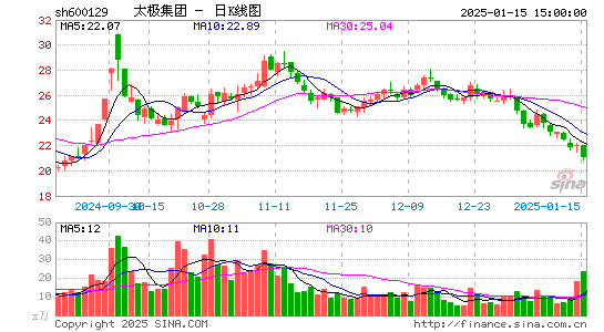 太极集团