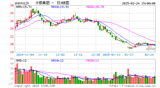 太极集团