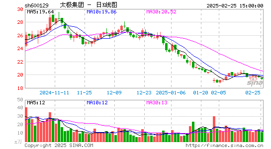 太极集团