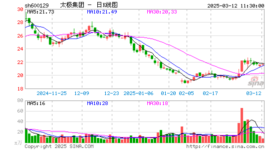 太极集团