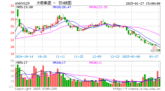 太极集团