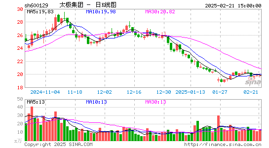 太极集团