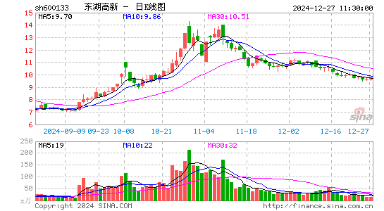 东湖高新