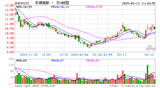 东湖高新