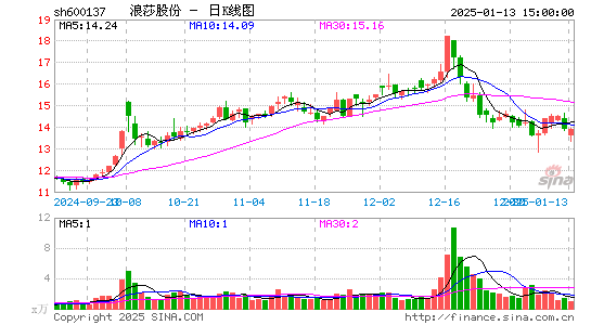 浪莎股份