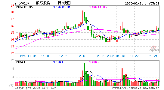 浪莎股份