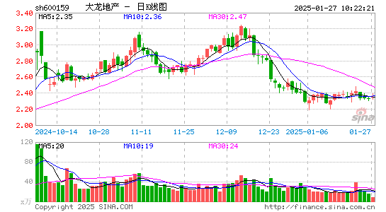 大龙地产