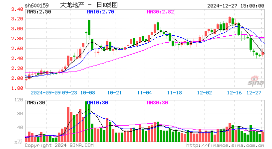 大龙地产