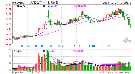 大龙地产