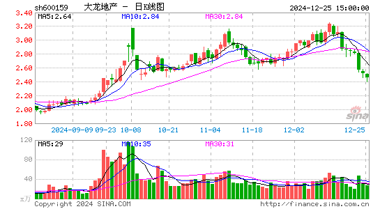 大龙地产