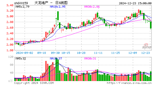 大龙地产