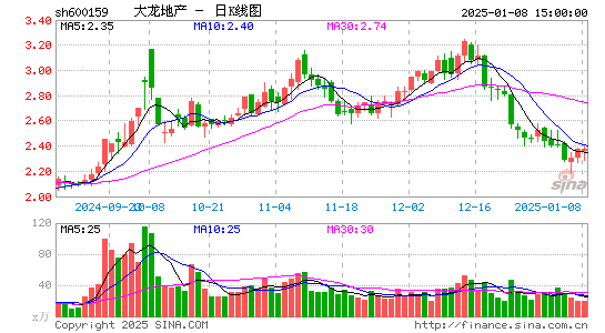 大龙地产