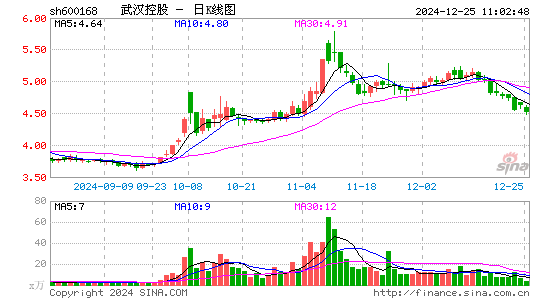 武汉控股