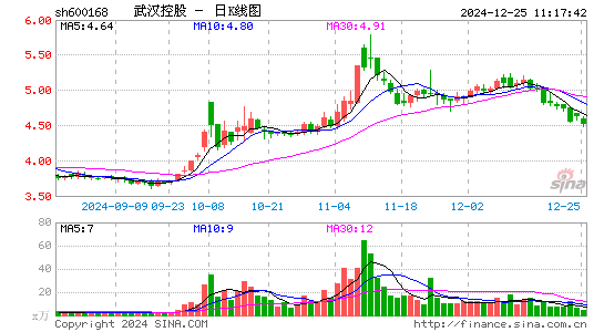 武汉控股