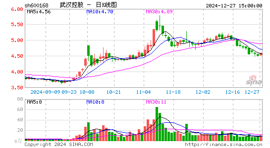 武汉控股