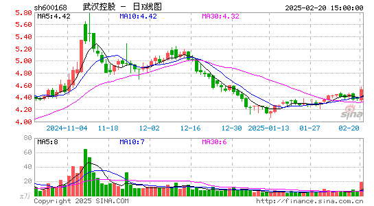 武汉控股