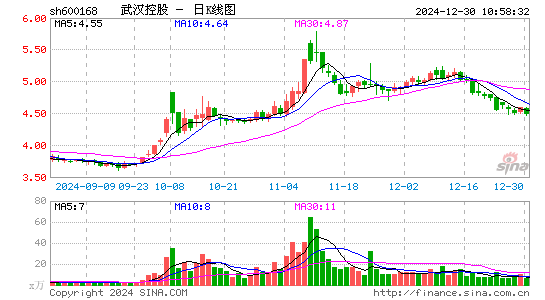 武汉控股