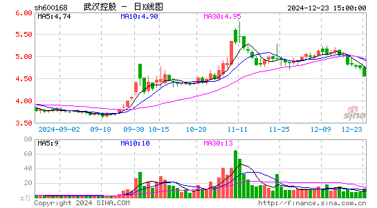 武汉控股