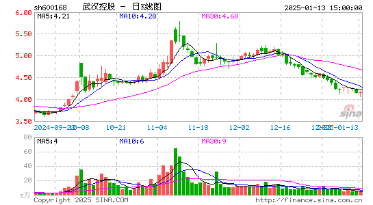 武汉控股