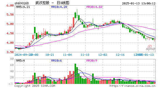 武汉控股