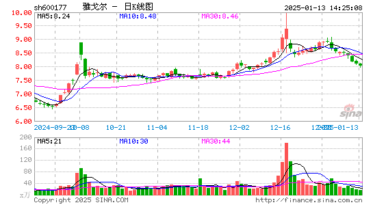 雅戈尔