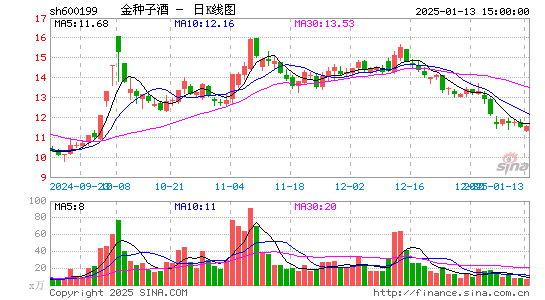 金种子酒