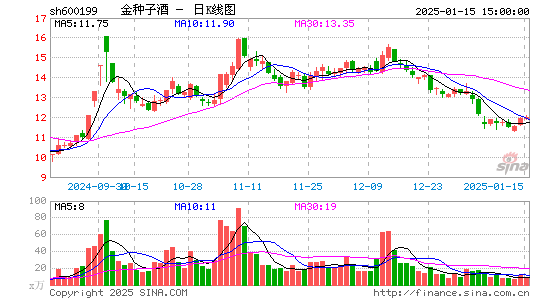 金种子酒