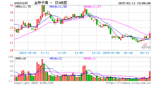 金种子酒