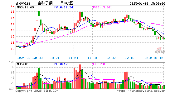 金种子酒