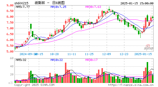 派斯林