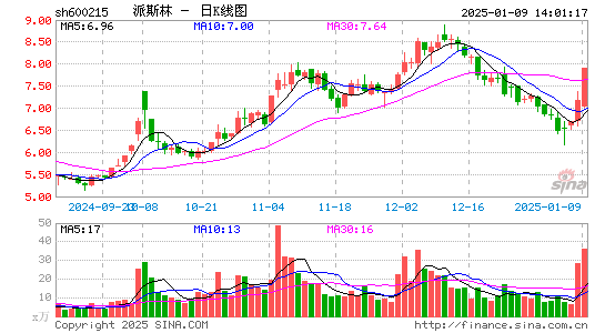 派斯林