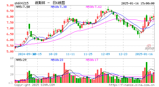 派斯林