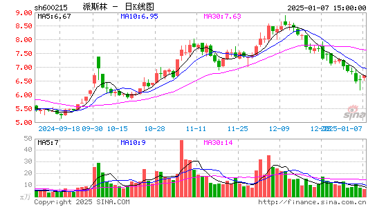 派斯林