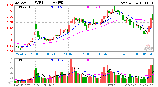 派斯林