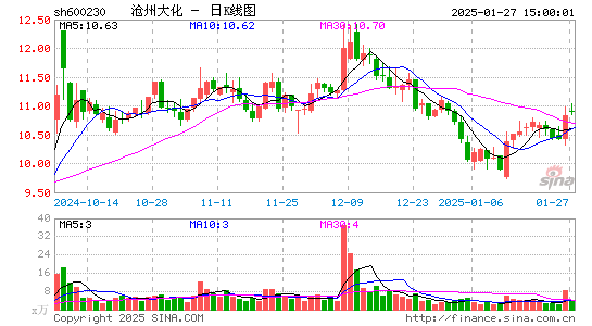 沧州大化