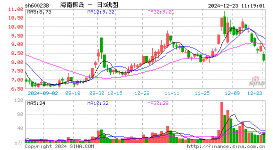 海南椰岛