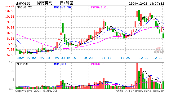 海南椰岛