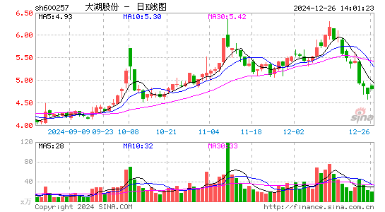 大湖股份